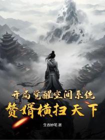 开局觉醒空间系统，赘婿横扫天下