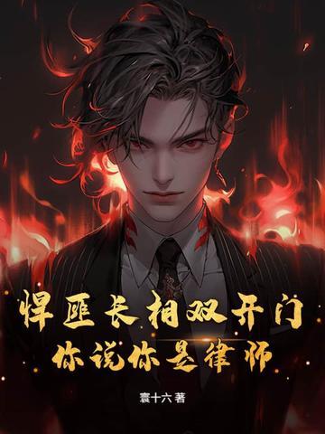 悍匪长相双开门，你说你是律师？