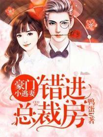 豪门小逃妻：错进总裁房