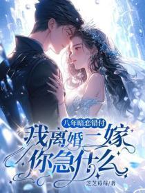 八年暗恋错付，我离婚二嫁你急什么？