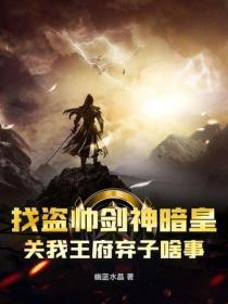 找盗帅剑神暗皇，关我王府弃子啥事