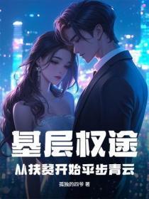 我的宸王殿下之意难平