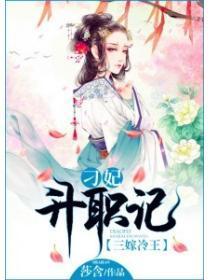 三嫁冷王：刁妃升职记