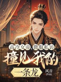 高冷女帝，微服私访撞见我的一条龙