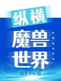 纵横魔兽世界